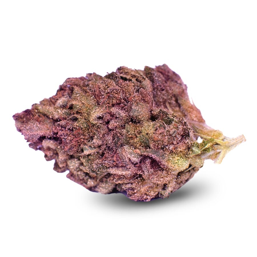 Blueberry Muffin Feminized Seeds