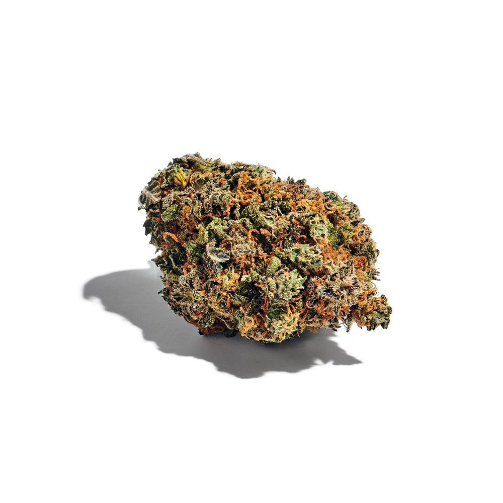 Lava Cake Feminized Seeds