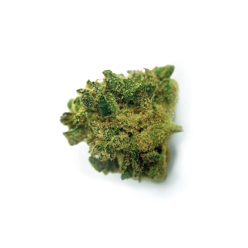 Misty Marijuana Bud