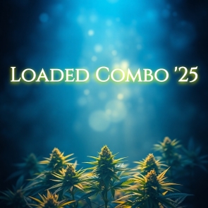 Loaded Combo '25 | New Strains