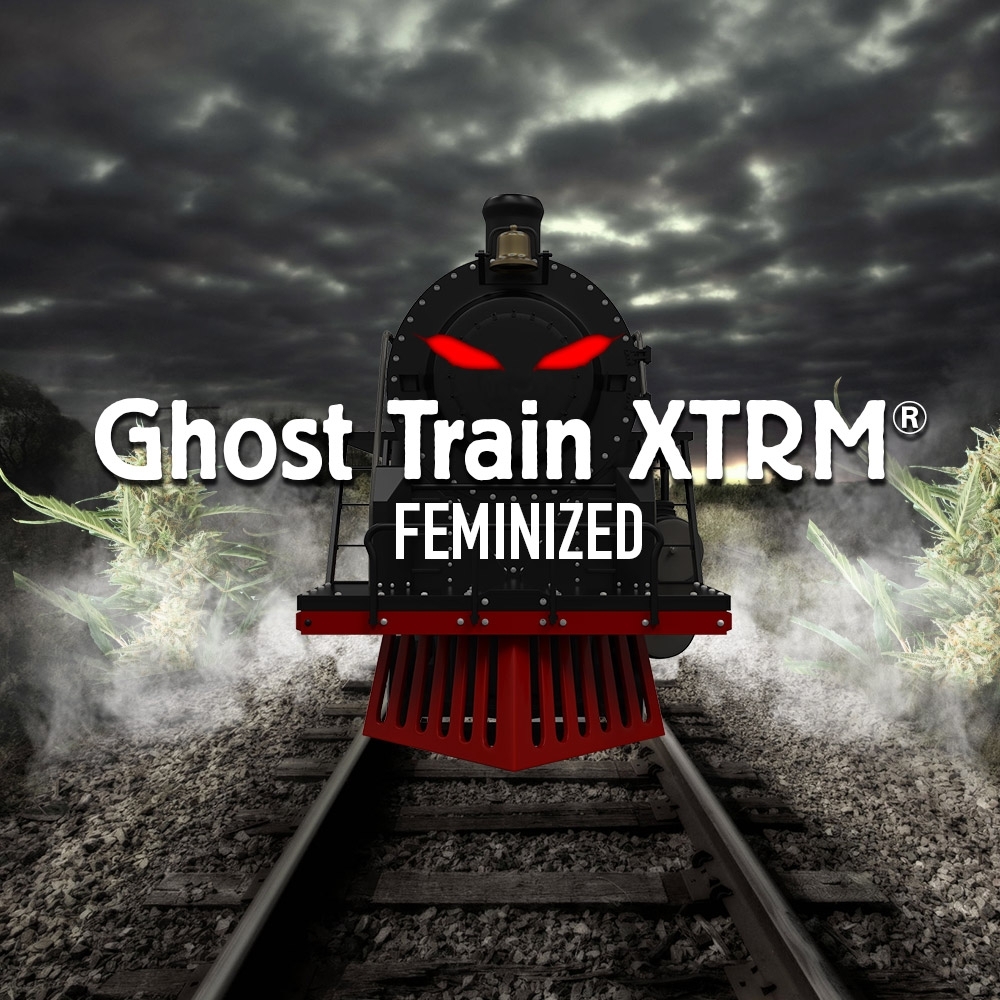 Ghost Train XTRM ® Feminized Seeds