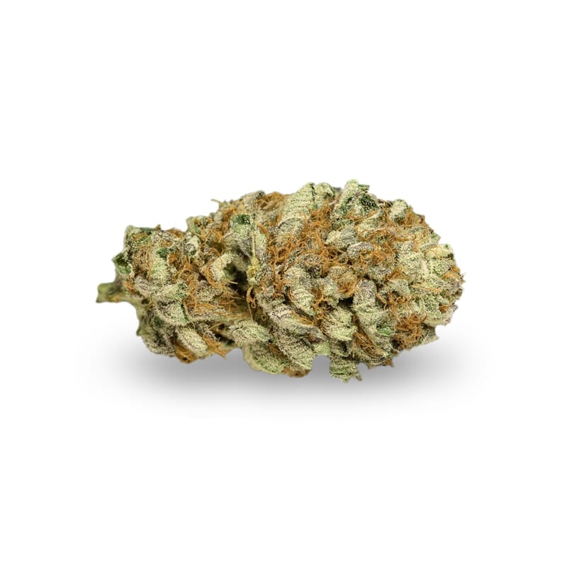 Master Kush Feminized Seeds