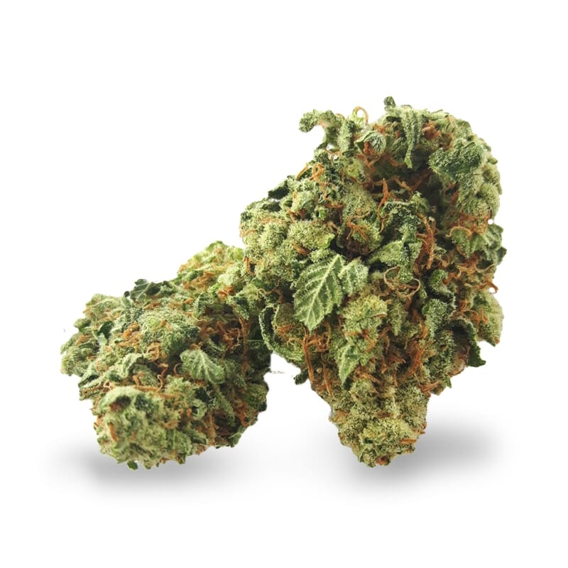 super silver haze strain