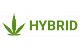 Hybrid Cannabis Seeds AMS