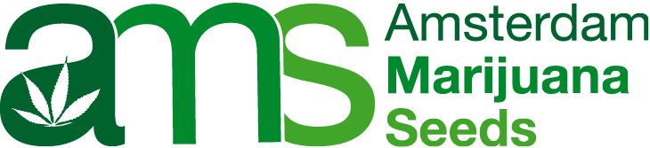 AMS Logo