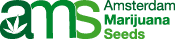 AMS Logo