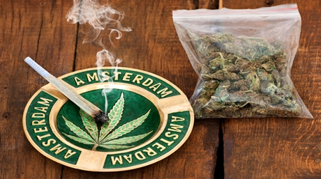 Amsterdam Weed