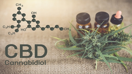 CBD oil