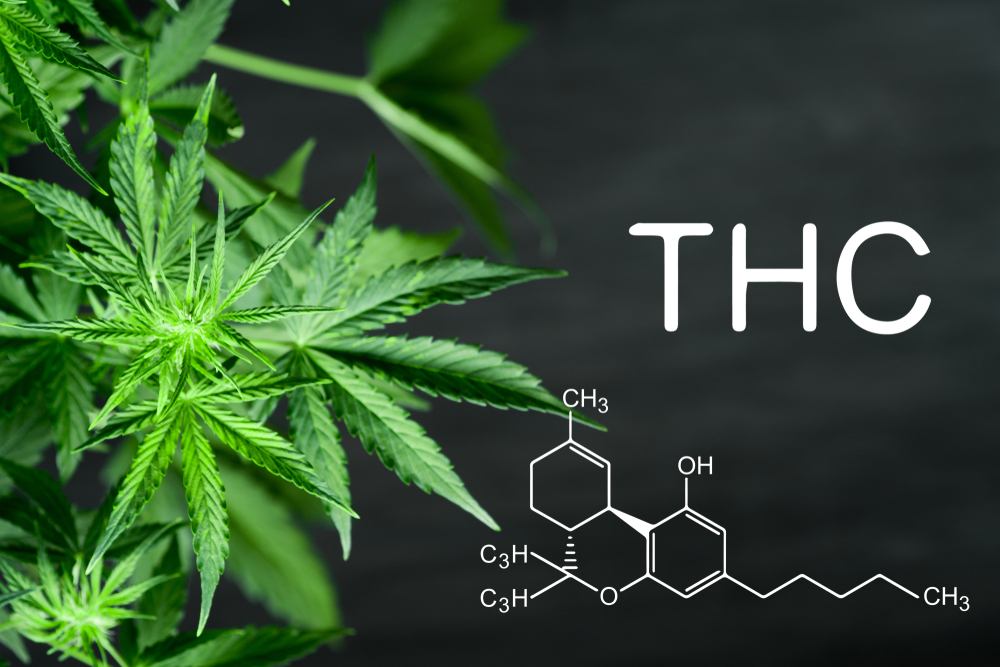 Advantages of using high-THC products