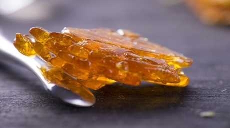 Marijuana Concentrates