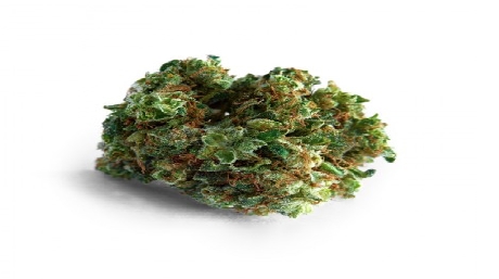 What type of cannabis strain is Big Bud?