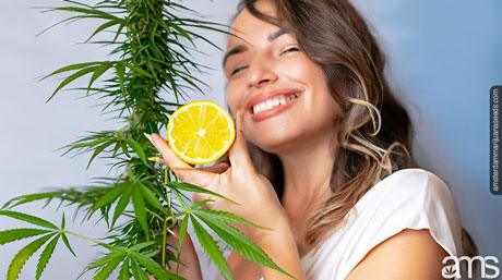 woman with a marijuana plant and holding an open lemon