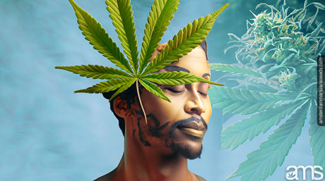 cannabis leaf and a man in Self-Transcendence