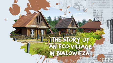 Eco-Village in Bialowieza Forest