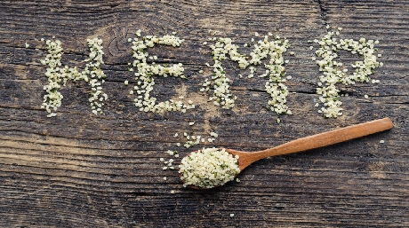 Marijuana and hemp share negative connotation