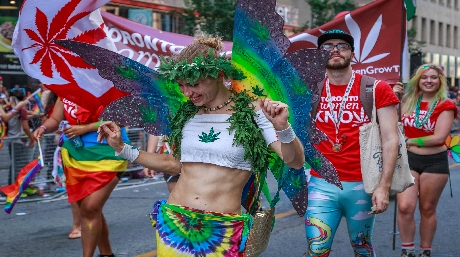 cannabis parade