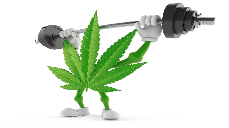 Does marijuana affect your workout?