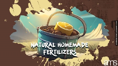 Natural Homemade Marijuana fertilizers