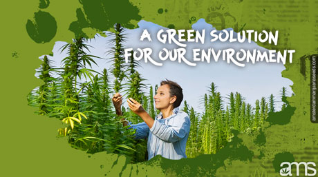 industrial hemp green solution