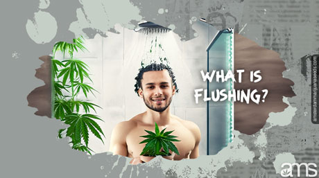 Flushing cannabis plants