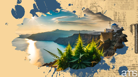 cannabis seeds mediterranean climates