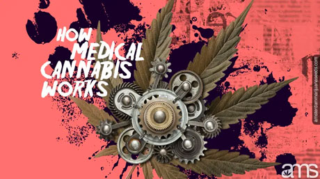 cannabis leaf with mechanical devices