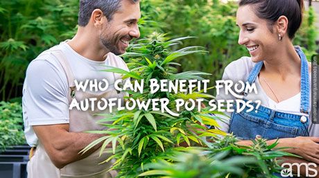 A couple of happy gardeners with an autoflowering plant