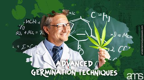 a scientist in front of a blackboard with a cannabis leaf