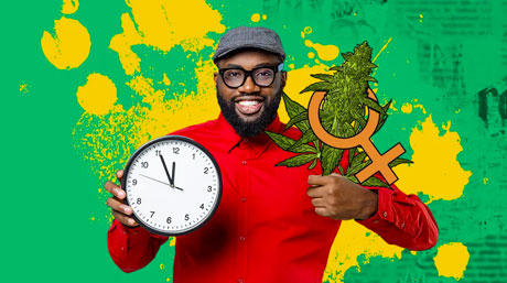 man holding clock and cannabis plant