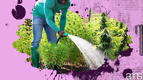 man with best practices watering irrigation outdoor gardens