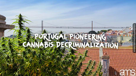 view of the Lisbon in Portugal and cannabis plants