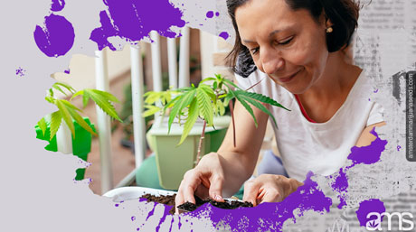 woman grows the bes balcony strain