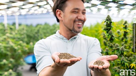 man in a greenhouse with quality seeds in hand