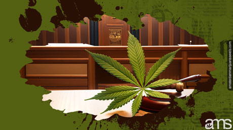 cannabis leaf in court