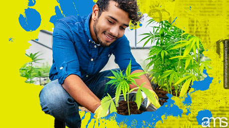 man uses rainwater on his plants