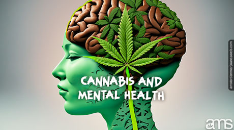 cannabis consumption mental health brain