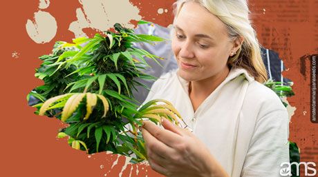 grower monitoring her plants