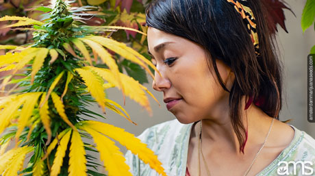 woman with a plant with diseases