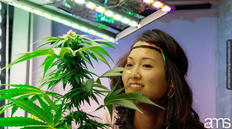 woman with an indoor plant