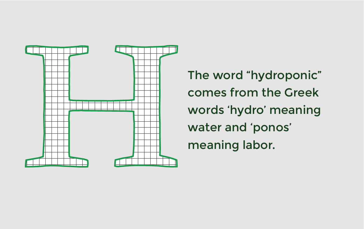 Meaning of the word hydroponic