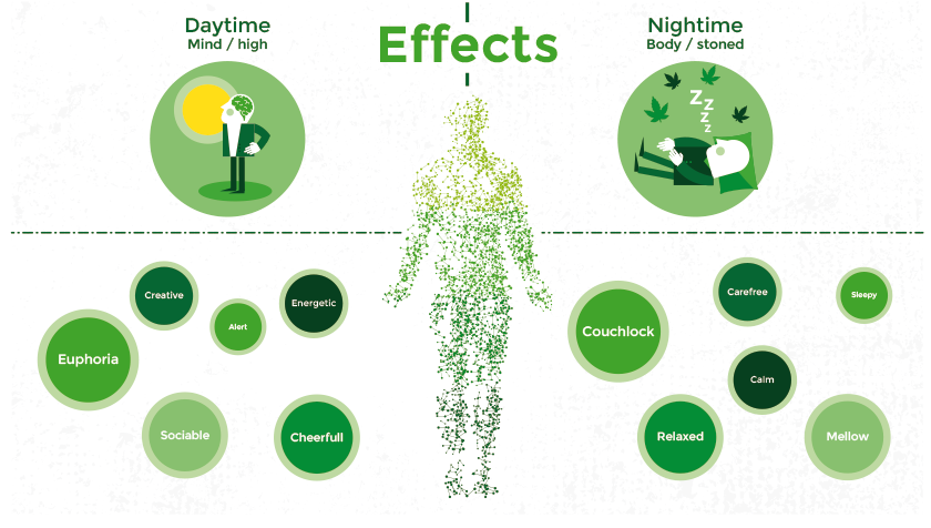 effects, daytime, nighttime