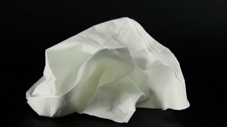 A simple and popular way to germinate cannabis seeds using a damp paper towel—perfect for beginners.