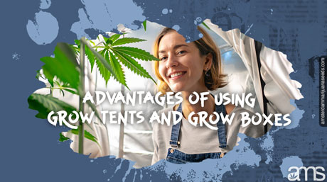 advantages of grow tents indoor cultivatio