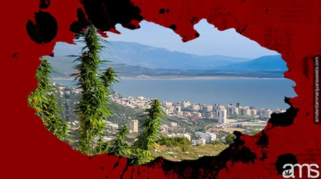 albania legalizes cannabis for medical and industrial use