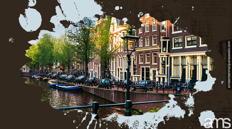 Amsterdam seeds unveiling history excellence in cannabis genetics cannabis city Amsterdam