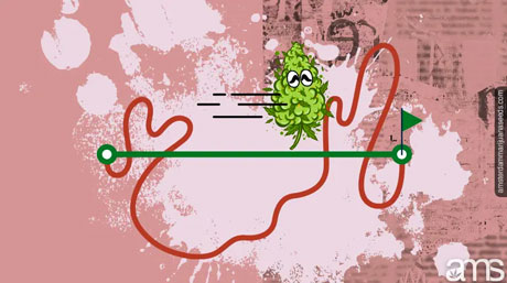 History of eating marijuana History of eating cannabis