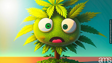 heat-suffering weed plant managing excessive temperatures when growing cannabis