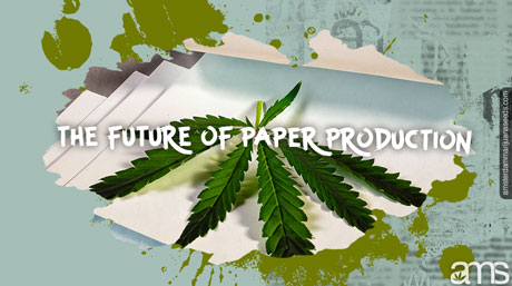 hemp paper the future of hemp paper production