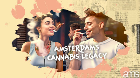 Amsterdam Cannabis Legacy
