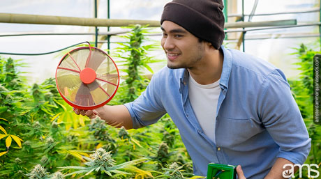 climate control climate considerations different cultivation environments FAN